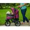 Show in main carousel: Pet Gear No-Zip Double Pet Stroller, Boysenberry slide 2 of 8