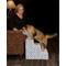 Show in main carousel: Pet Gear Trellis Print Designer 3-Step Dog Stairs, Spa Blue slide 2 of 4
