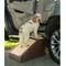 Show in main carousel: Pet Gear Dog Step/Ramp Combination with supertrax, Chocolate slide 3 of 7