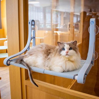 Show full view: Gapzer Espresso Cozy Hammock Polypropylene Cat Window Perch with Strong Suction Cups, 20 x 12 x 2-in, Blue slide 6 of 9