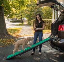 Pet Gear Tri-Fold Travel Lite Dog Ramp with Supertrax, Black/Green