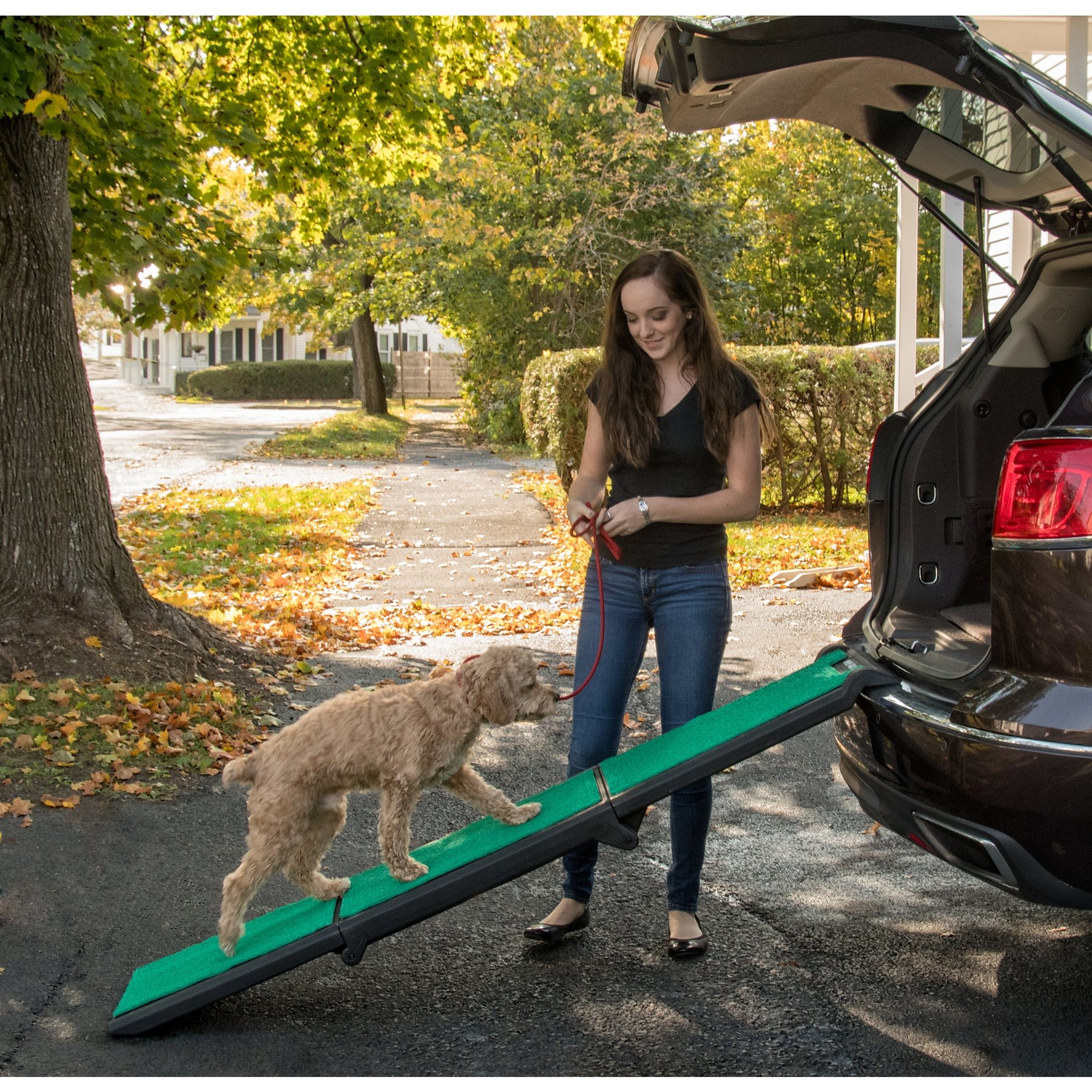 Pet Gear Tri-Fold Travel Lite Dog Ramp with Supertrax, Black/Green