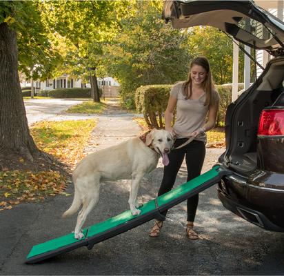 Show full view: Pet Gear Tri-Fold Travel Lite Dog Ramp with Supertrax, Black/Green slide 2 of 7