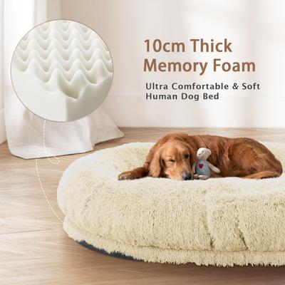Show full view: LovMor 10-cm Thick Memory Foam Oversize Human Dog Bed with Plump Pillow & Removable Cover, 78 x 51 x 12-in, Beige slide 3 of 7