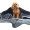 Show in main carousel: KONG Weighted Calming Dog Blanket, Grey, 58 x 53-in slide 3 of 6