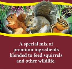 3-D Squirrel Food, 20-lb bag slide 2 of 9