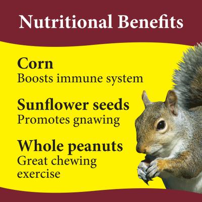 Show full view: 3-D Squirrel Food, 20-lb bag slide 4 of 9