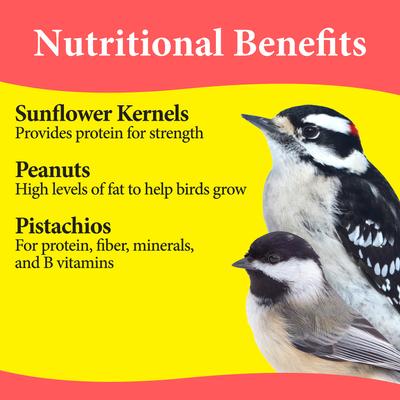 Show full view: 3-D Western Regional Blend Wild Bird Food, 5-lb bag slide 4 of 9