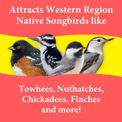 Show full view: 3-D Western Regional Blend Wild Bird Food, 5-lb bag slide 3 of 9