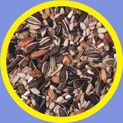 Show full view: 3-D Nut N Berry Wild Bird Food, 5-lb bag slide 6 of 9