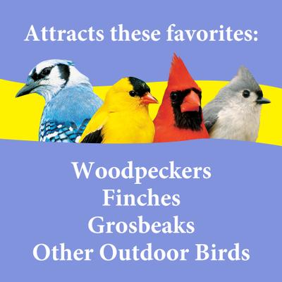 Show full view: 3-D Nut N Berry Wild Bird Food, 5-lb bag slide 4 of 9