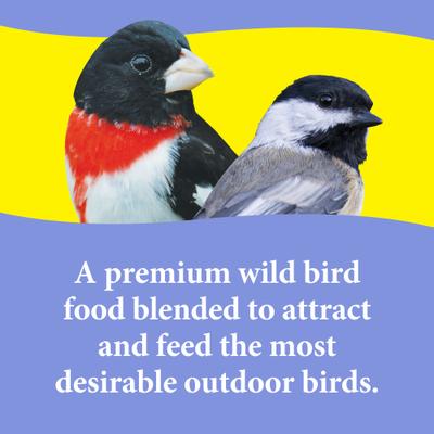 Show full view: 3-D Nut N Berry Wild Bird Food, 5-lb bag slide 3 of 9