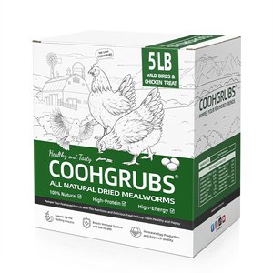 COOHGRUBS Dried Mealworms Poultry & Bird Treats, 5-lb bag