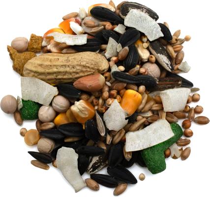 Show full view: Pennington Large Bird Blend Bird Food, 3-lb bag slide 4 of 9