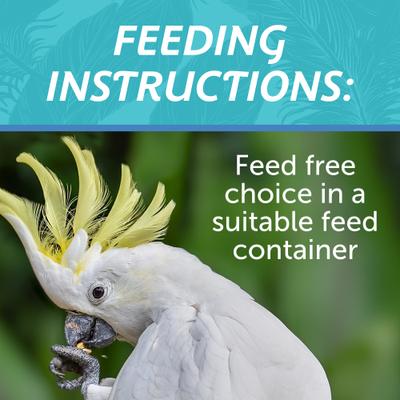 Show full view: Pennington Large Bird Blend Bird Food, 3-lb bag slide 6 of 9