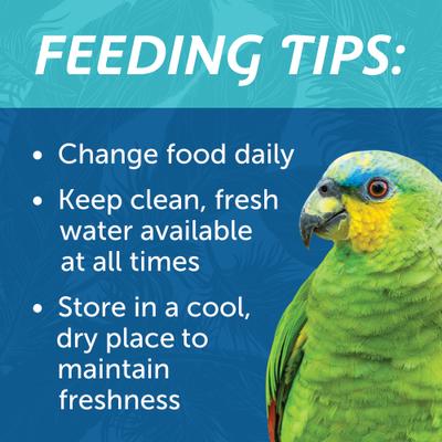 Show full view: Pennington Large Bird Blend Bird Food, 3-lb bag slide 7 of 9