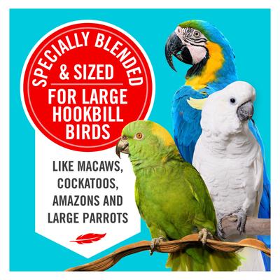 Show full view: 3-D Parrot Natural Bird Food, 3-lb bag slide 8 of 9