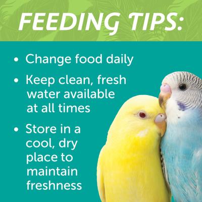 Show full view: Pennington Small Bird Blend Bird Food, 3-lb bag slide 8 of 9