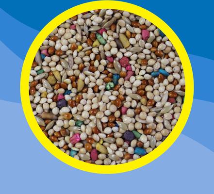 Show full view: 3-D Parakeet Food, 7.5-lb bag slide 5 of 9