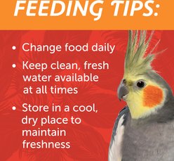 Pennington Medium Bird Blend Bird Food, 3-lb bag slide 2 of 9