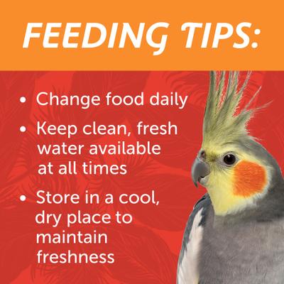 Show full view: Pennington Medium Bird Blend Bird Food, 3-lb bag slide 8 of 9