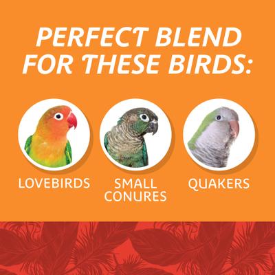 Show full view: Pennington Medium Bird Blend Bird Food, 3-lb bag slide 5 of 9