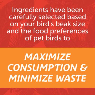 Show full view: Pennington Medium Bird Blend Bird Food, 3-lb bag slide 6 of 9