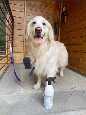 Show full view: Miracle Care Waterless Bath Spray for Dogs, 24-fl oz, spray slide 5 of 9