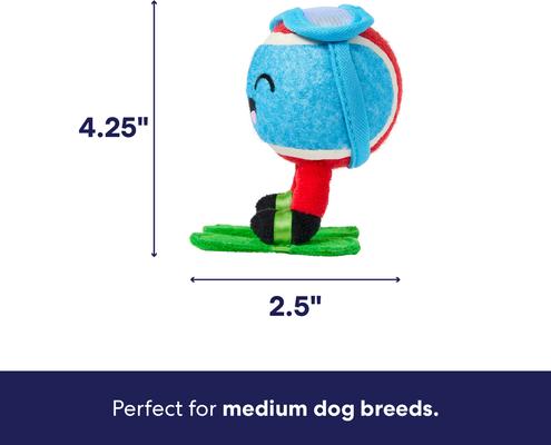 Show full view: Frisco Winter Sports Ski Ball Fetch Squeaky Tennis Ball Dog Toy, Medium, 1 count slide 2 of 8