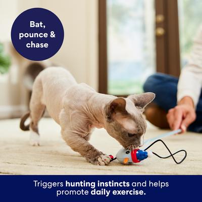 Show full view: Frisco Winter Sports Bird Teaser Wand Plush Cat Toy with Silvervine & Catnip slide 4 of 8