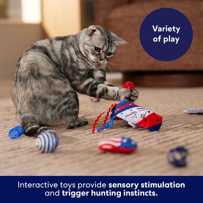 Show full view: Frisco Winter Sports Americana Variety Pack Cat Toy with Silvervine & Catnip, 12 count slide 5 of 9