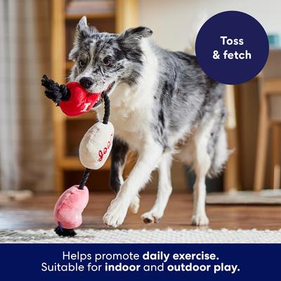 Show full view: Frisco Valentine I Woof You Plush with Rope Squeaky Dog Toy, Medium/Large slide 4 of 8