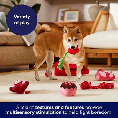 Show full view: Frisco Valentine Love Basket Variety Pack Dog Toy, Medium, 7 count slide 6 of 10