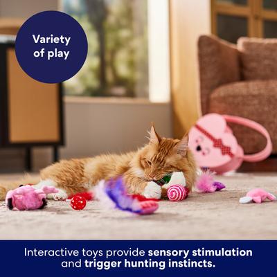 Show full view: Frisco Valentine Love Basket Variety Pack Cat Toy with Silvervine & Catnip, 15 count slide 5 of 9