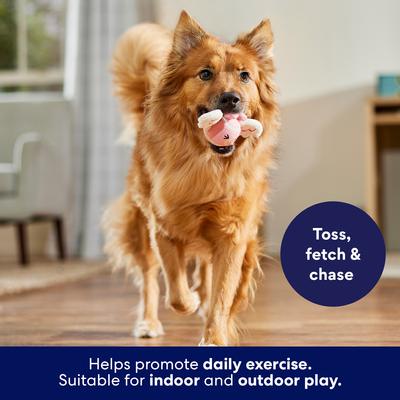 Show full view: Frisco Valentine Cupid Pig Fetch Squeaky Tennis Ball Dog Toy, Medium, 1 count slide 4 of 8