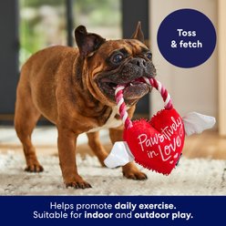 Frisco Valentine Pawsitively in Love Heart Plush with Rope Squeaky Dog Toy, Medium slide 2 of 6