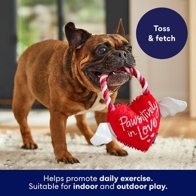 Show full view: Frisco Valentine Pawsitively in Love Heart Plush with Rope Squeaky Dog Toy, Medium slide 4 of 7