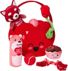 Frisco Valentine Love Basket Variety Pack Dog Toy, Medium, 7 count
