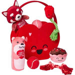 Frisco Valentine Love Basket Variety Pack Dog Toy, Medium, 7 count