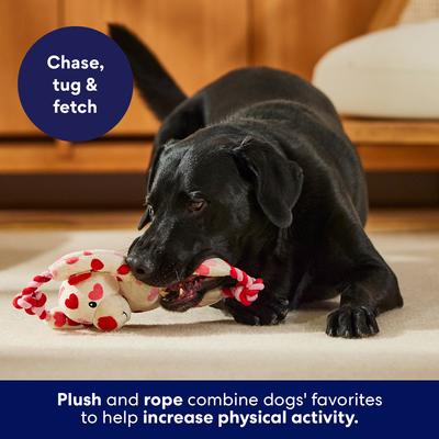 Show full view: Frisco Valentine Heart Bear Plush with Rope Squeaky Dog Toy, Medium/Large slide 5 of 9