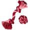 Show in main carousel: Frisco Valentine Double Knot & Rope Ball Dog Toy, Medium, 2 count slide 1 of 8