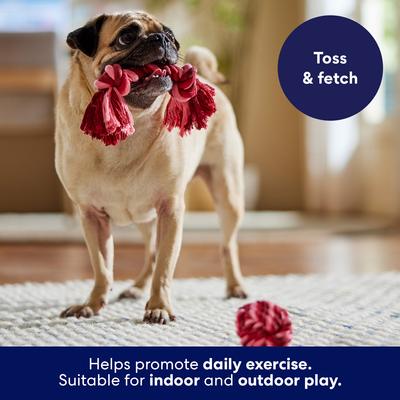 Show full view: Frisco Valentine Double Knot & Rope Ball Dog Toy, Medium, 2 count slide 5 of 8