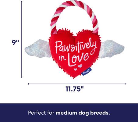 Show full view: Frisco Valentine Pawsitively in Love Heart Plush with Rope Squeaky Dog Toy, Medium slide 2 of 7