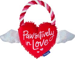 Frisco Valentine Pawsitively in Love Heart Plush with Rope Squeaky Dog Toy, Medium