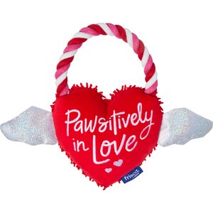 Frisco Valentine Pawsitively in Love Heart Plush with Rope Squeaky Dog Toy, Medium