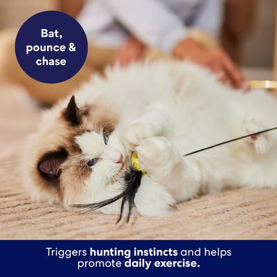 Show full view: Frisco Easter Spring Bee & Flower Interchangeable Teaser Wand Plush Cat Toy with Silvervine & Catnip slide 4 of 8