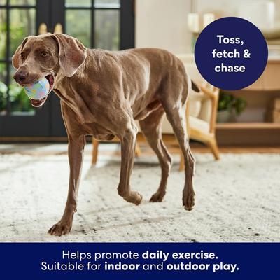 Show full view: Frisco Easter TPR Ball Squeaky Dog Toy, Large slide 4 of 8