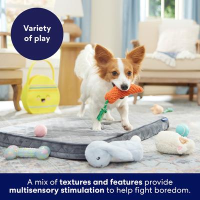 Show full view: Frisco Easter Egg Basket Variety Pack Dog Toy, Medium, 7 count slide 5 of 9