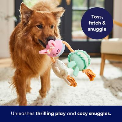 Show full view: Frisco Easter Sweet Treat Bunnies Plush with Rope Squeaky Dog Toy, Medium/Large slide 4 of 8