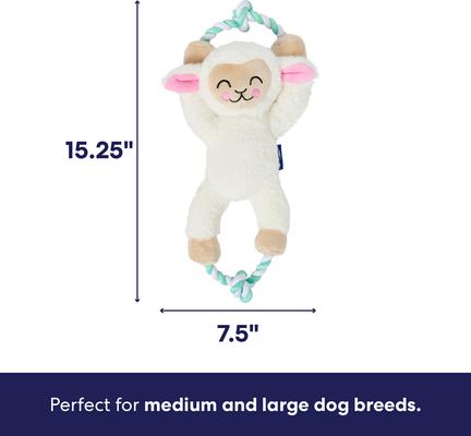 Show full view: Frisco Easter Spring Lamb Plush with Rope Squeaky Dog Toy, Medium/Large slide 2 of 9